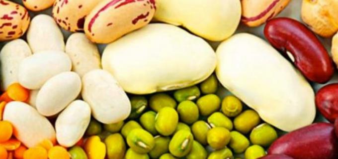 Arveja y garbanzo, legumbres ideales para diversificar rotaciones
