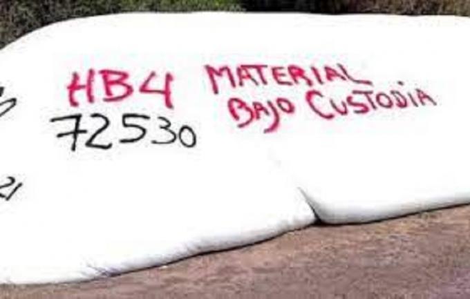 Los exportadores empezarán a analizar los camiones de trigo en busca del HB4, mientras los acopiadores descuentan que “el costo de esta fiesta lo van a pagar los productores”