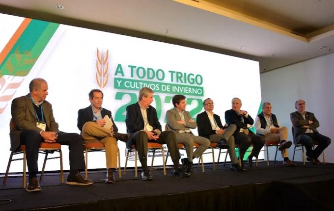 Trigo transgénico: la aprobación para su siembra reabrió un debate