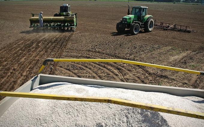 Proyectan una caída en el uso de fertilizantes por la suba de precios, el cepo al dólar y la falta de disponibilidad