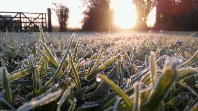 Heladas generalizadas: qué dice el pronóstico del tiempo para lo que resta de mayo