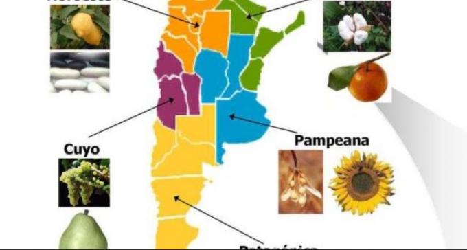 Pese a la reactivación 12 economías regionales siguen en baja