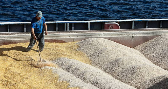 Las cotizaciones internacionales del trigo siguen en la “licuadora” por las versiones contradictorias sobre el destino del cereal ucraniano