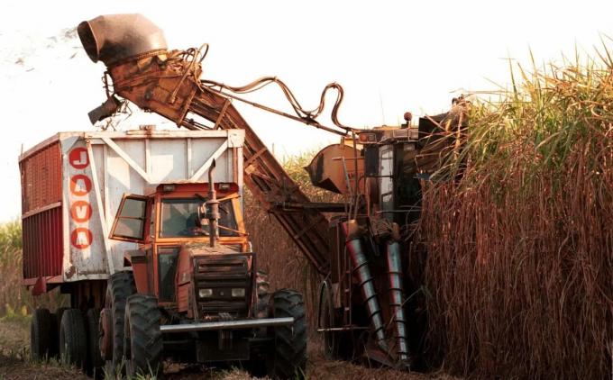 Advierten que por la falta de gasoil se muele el 30% de la caña de azúcar