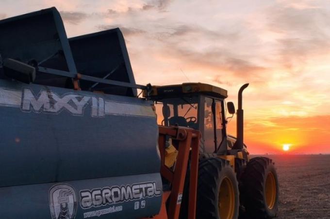 La falta de lluvias empieza a complicar al trigo argentino: Nuevo recorte de la superficie proyectada de siembra