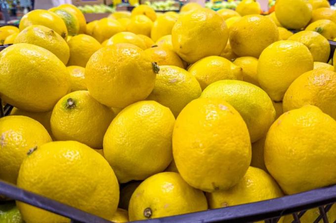 Por la falta de gasoil, en Corrientes ya tiran limones y se perderán 25.000 toneladas
