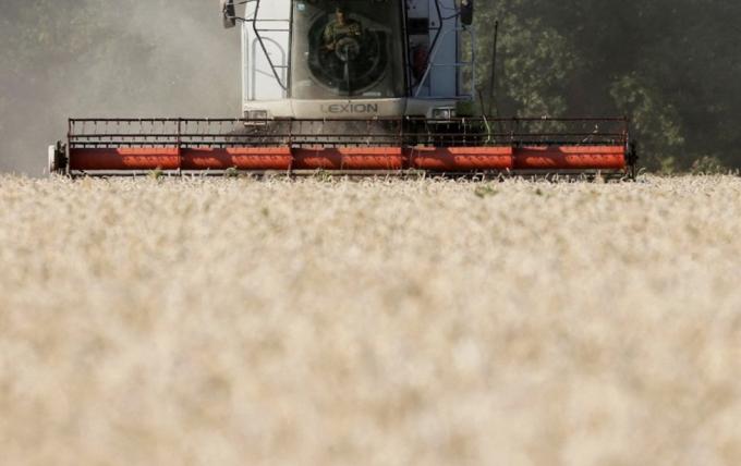 Ucrania golpeada: perdió 25 % de tierras cultivables