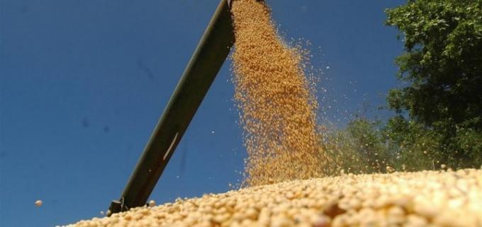  El Gobierno estudia ‘mecanismos’ para que los productores vendan más soja