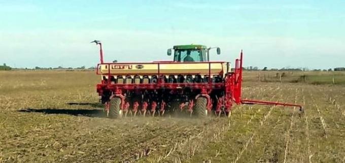  La siembra de trigo se restringe a sectores con oferta hídrica superficial