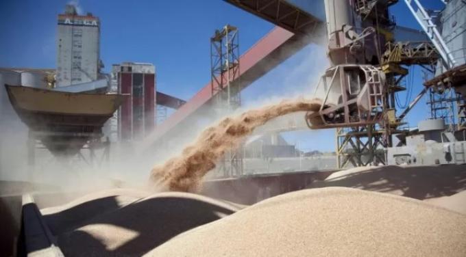 Récord histórico en agroexportación durante el primer semestre: Se liquidaron 19.145 millones de dólares