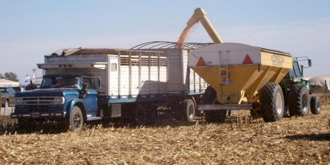  Campaña: cómo afrontar el impacto de la escasez de gasoil en el plan de siembra