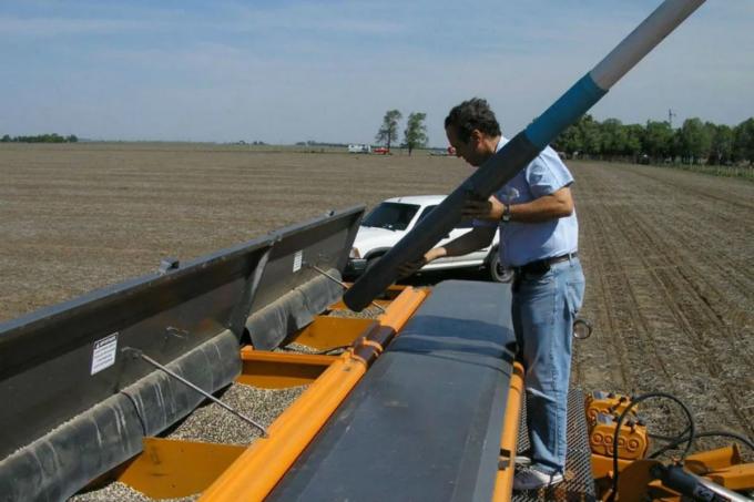 Fertilizantes: fuerte desventaja de la Argentina versus Brasil y Uruguay