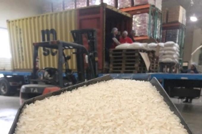 Se exportó arroz de desarrollo santafesino a Jordania: se trata de una variedad de gran aceptación para sushi