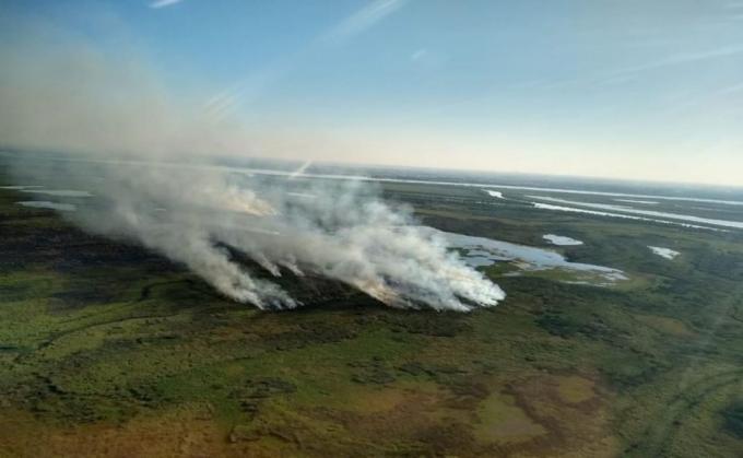 Delta del Paraná: ya son 60 mil las hectáreas afectadas por incendios en lo que va del año