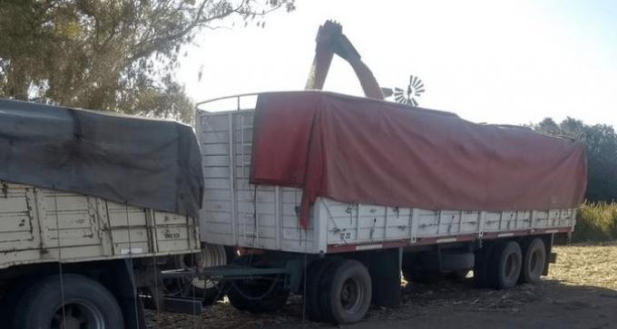 Confirman el nuevo ajuste de 16% para los fletes agrícolas, mientras los costos del transporte crecieron 48% en el primer semestre