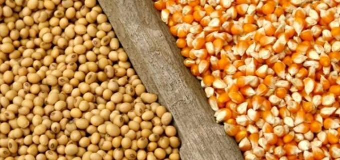 Proyectan exportaciones de productos agroindustriales por más de 41 mil millones de dólares