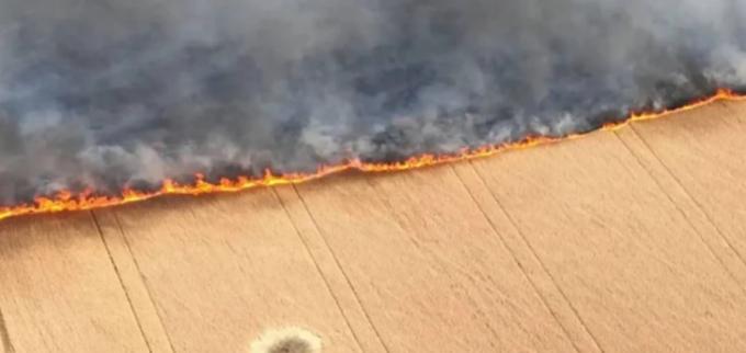 Ucrania denunció que Rusia quema campos de trigo y pone en riesgo la seguridad alimentaria