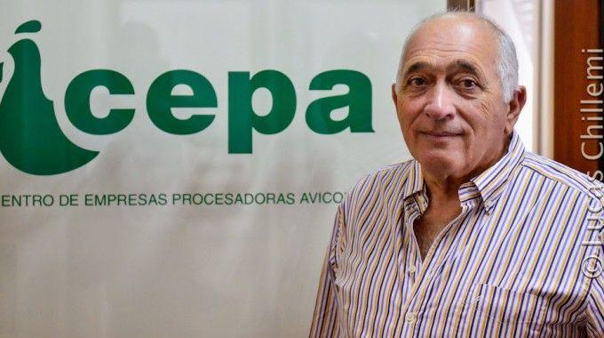 Con la nueva tanda de préstamos, las avícolas esperan poder empardar la oferta total de carne vacuna