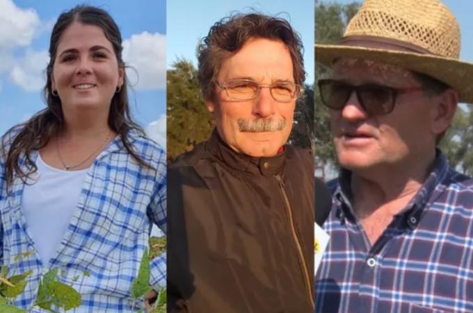 La situación ha venido de mal en peor”, los motivos detrás del cese de comercialización del campo