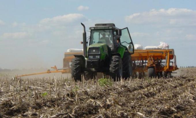 Seguir sembrando o parar, el dilema de los productores de trigo del norte agrícola