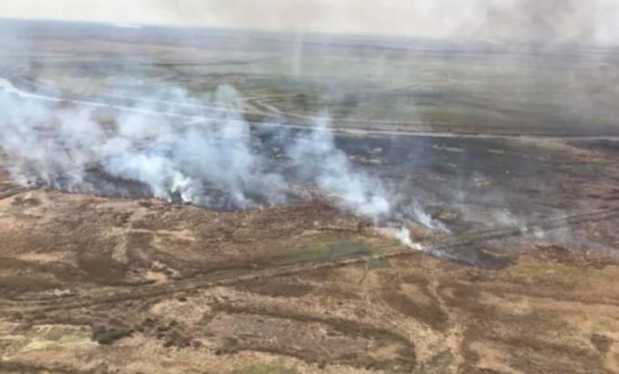 Incendios en las islas: productores ganaderos pondrán cámaras de videovigilancia cansados de que los acusen
