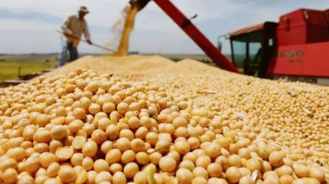 Dólares: los números que mira el Gobierno sobre la liquidación del campo