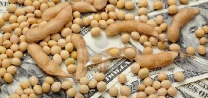 Dólar soja. El ejemplo de un productor que vende US$ 1000 y las condiciones ocultas del anuncio