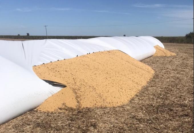 Ataques a silo bolsas: denuncian nuevas roturas desde distintos puntos del país y apuntan al Presidente