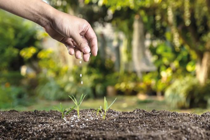 Alertan que al campo le podría quedar sin cubrir un 57% de sus necesidades de fertilizantes