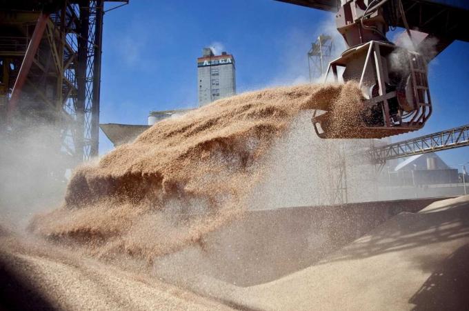 Prevén que las exportaciones agroindustriales serán en 2022 un 9,6% superiores a las de 2021