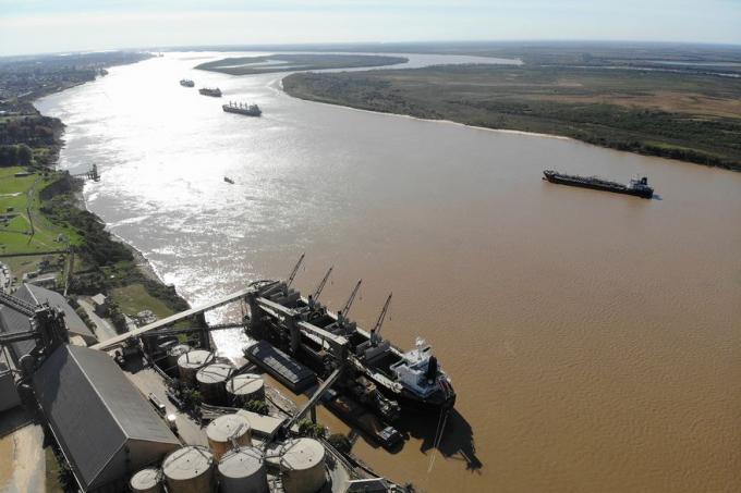 Cayó el ingreso de maíz en los puertos del Gran Rosario
