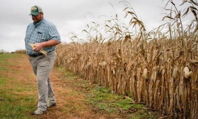 La argentinización de los farmers. Les preocupa la política y la inflación, que marcó un máximo desde 1981