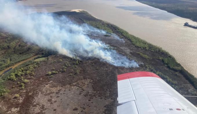 Productores fueron al Senado a explicar que no causan los incendios en el Delta del Paraná. Qué dijeron