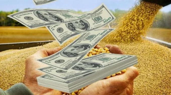Comenzaron las operaciones con el dólar soja