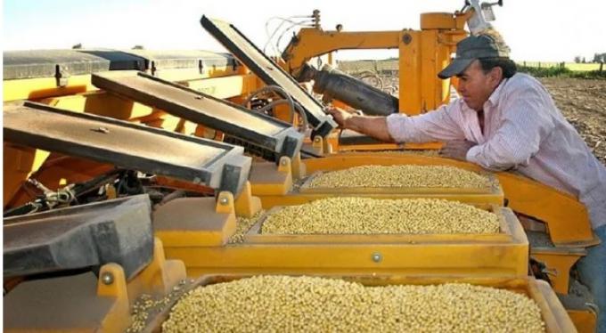 Confianza de productores del agro se hundió en julio: ¿Cuáles son las principales causas?
