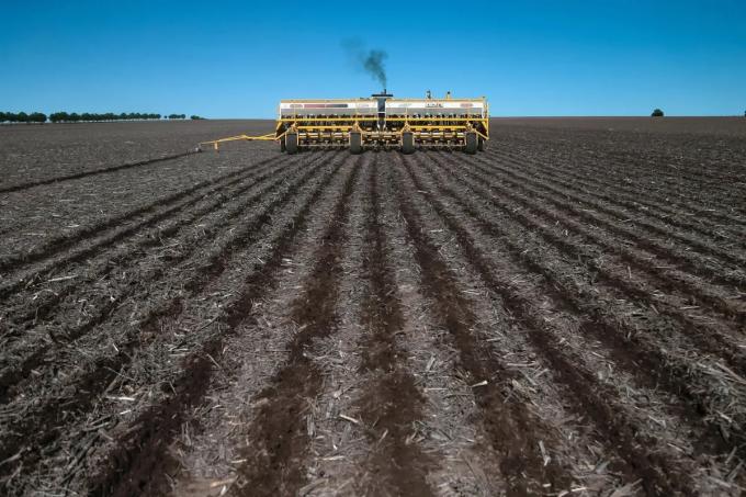 El campo deberá afrontar costos hasta un 165% más alto para volver a sembrar