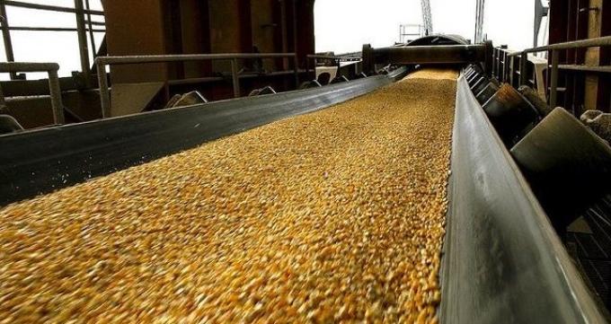 Las exportaciones del agro aportaron USD 31.000 millones en el primer semestre