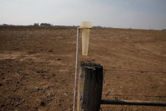 Agobiados por la falta de lluvias, en el sudeste de Córdoba los productores buscan cómo resistir