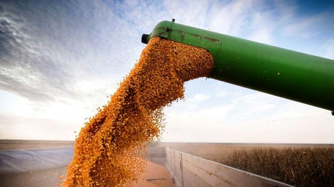 Cinco empresas internacionales lideran el ranking de exportación de granos en Argentina