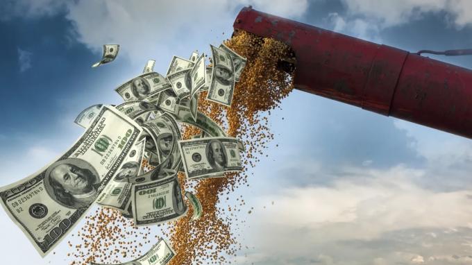 Dólar campo: evalúan darle 30% más a los sojeros para que liquiden ventas