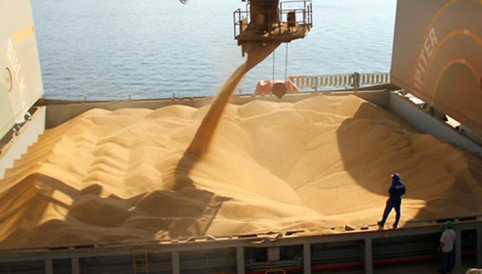 Brasil le robó mercados a la Argentina y aumentó las exportaciones de aceite y harina de soja