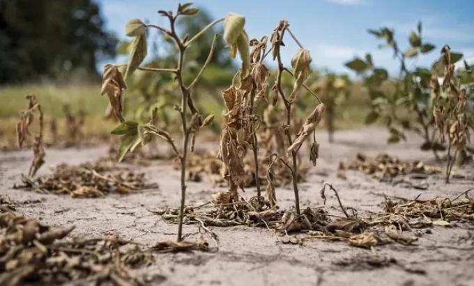 El campo pide una ley de seguro agrícola para hacerle frente a una de las peores sequías