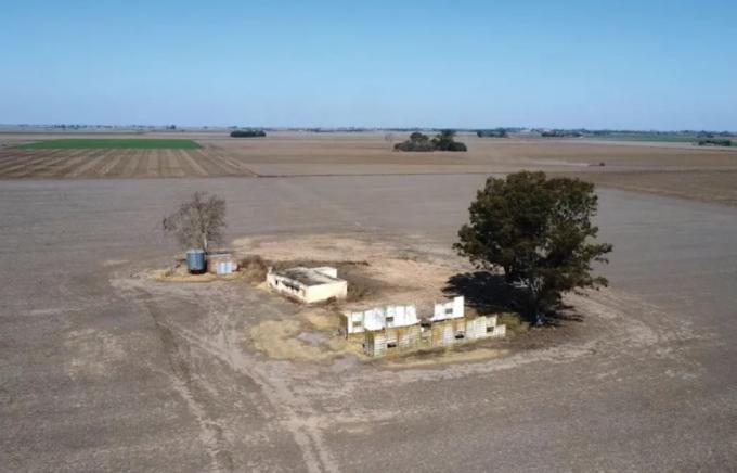 Por efecto de la sequía, la cosecha de trigo será la más baja desde 2015