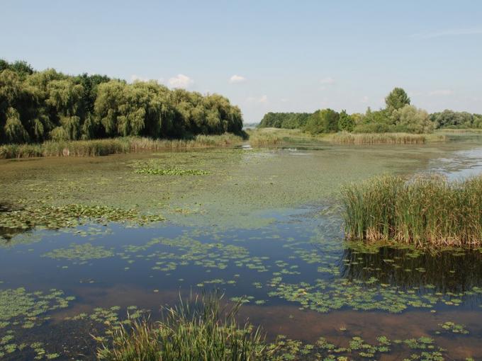 Humedales: Consejo Agroindustrial Argentino alertó que el “enfoque de legislar por ecosistemas fragmenta el territorio”