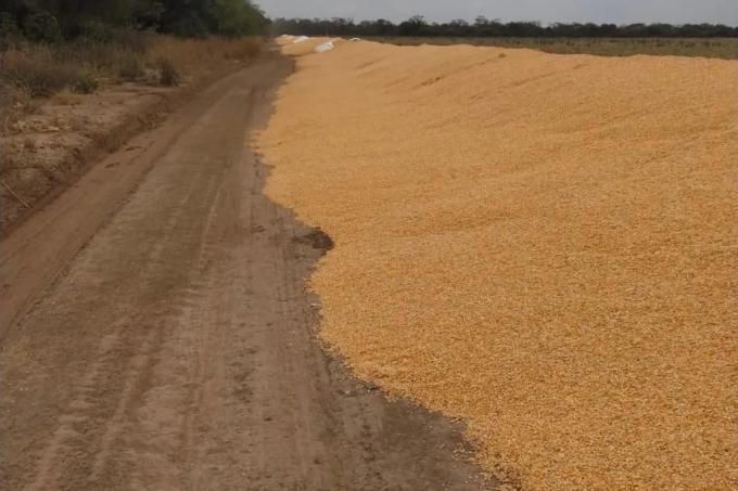 Ingresaron en moto a un campo y rompieron silobolsas con granos por $27 millones