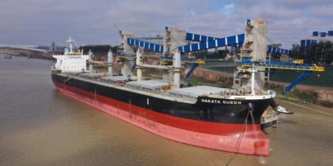 El doble comando para las cotizaciones de aceite y harina de soja esta vez fue desfavorable para el poroto