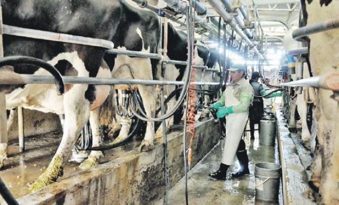Los tamberos que piden la eliminación de las retenciones serán recibidos hoy por el Gobierno