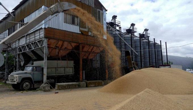 Afirman que Ucrania ya recuperó un nivel de exportaciones similar al previo a la invasión rusa