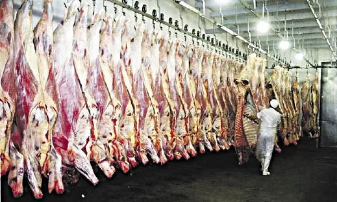 Carne: preocupa la caída de la demanda china y el retroceso de precios internacionales