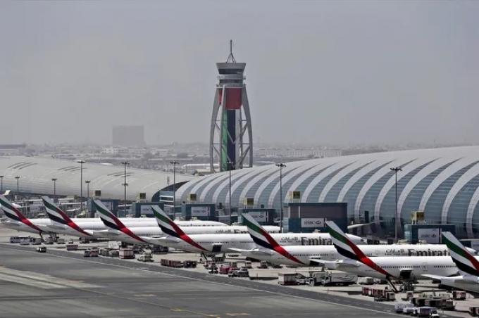 Un cultivo que sirve como combustible para los aviones promete generar una revolución en el país